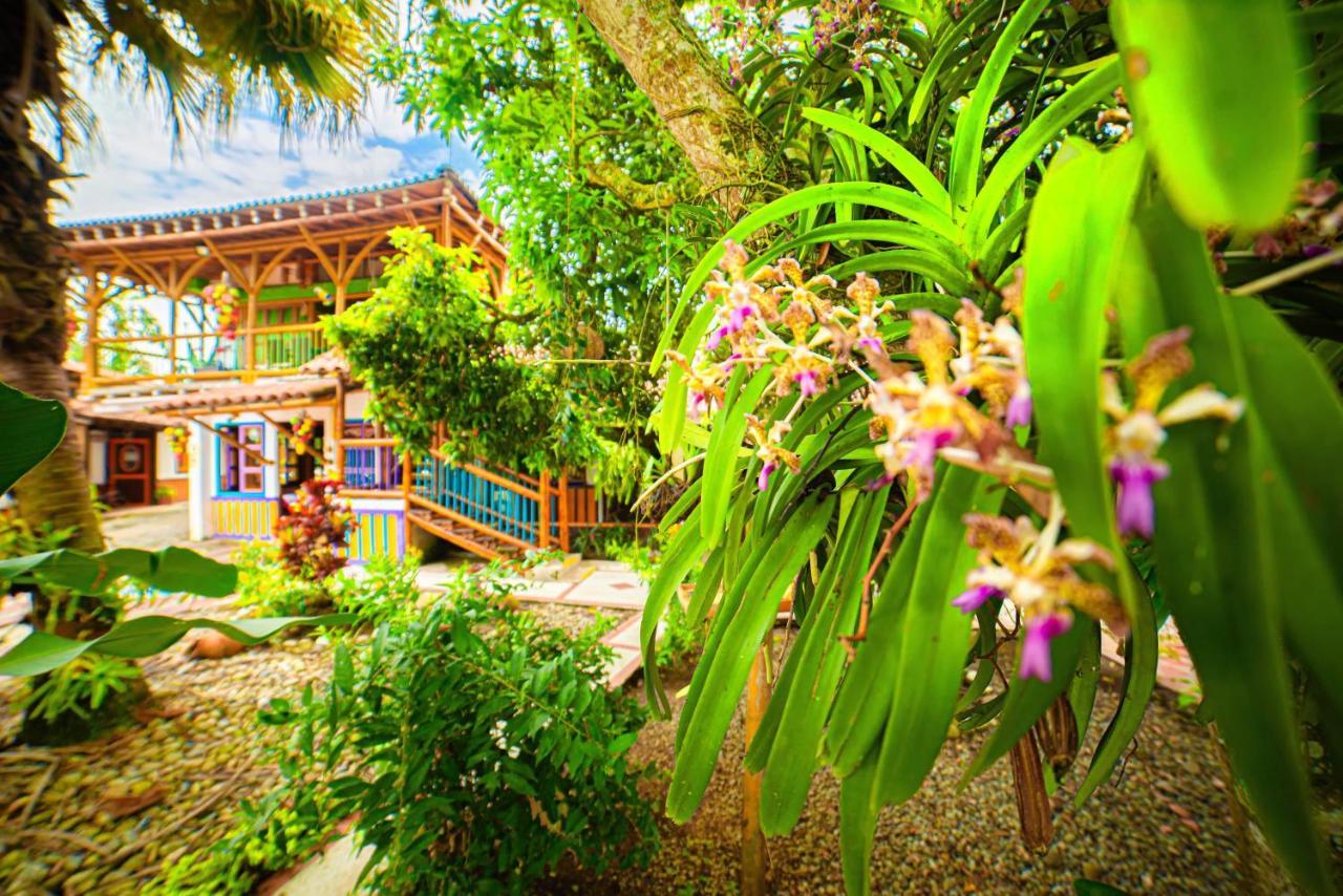 Eco Hotel Las Palmas Puerto Espejo Dış mekan fotoğraf